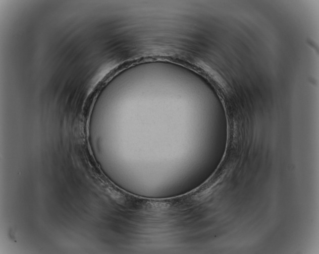 X0000091850878200709121308