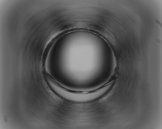 X0000091850880200709121308