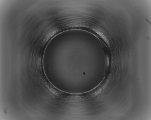 X0000091850881200709121308