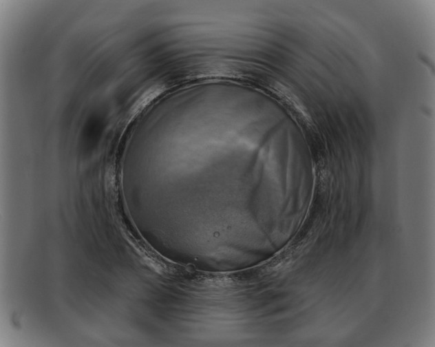 X0000091850882200709121308