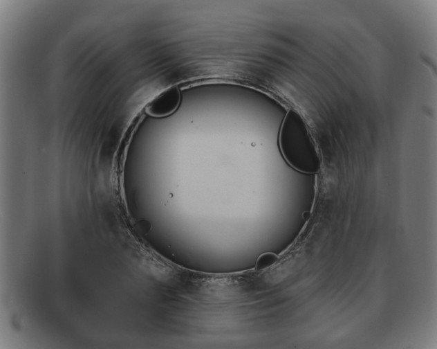 X0000091850883200709121308