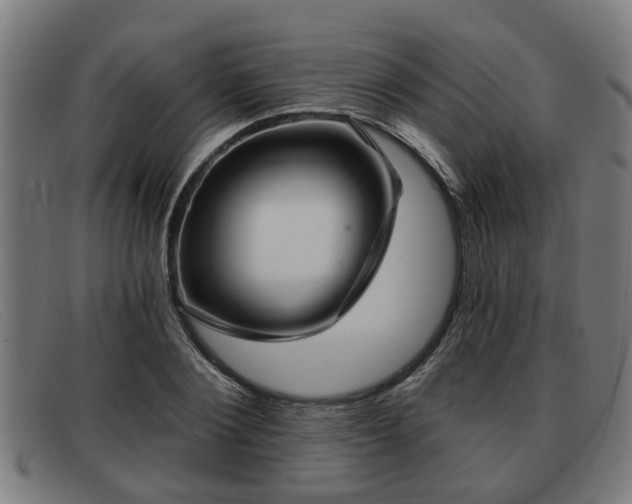 X0000091850884200709121308