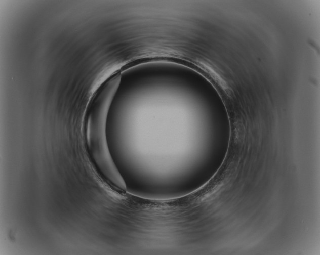 X0000091850885200709121308