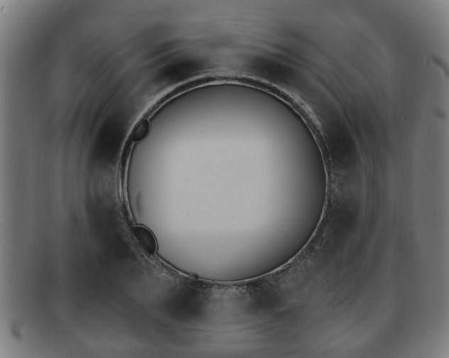 X0000091850887200709121308