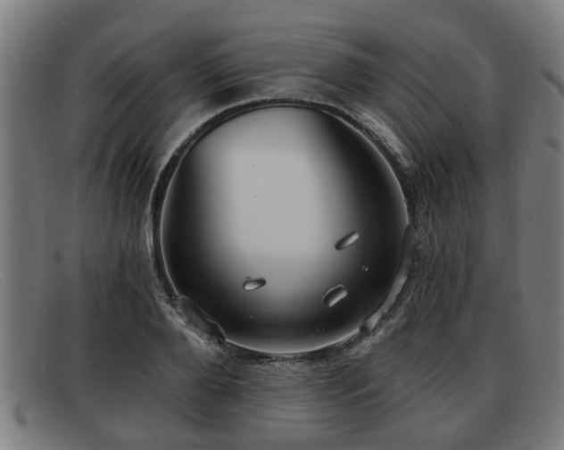 X0000091850888200709121308