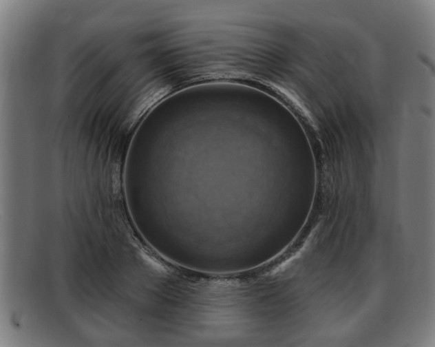 X0000091850889200709121308