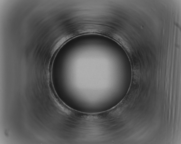 X0000091850890200709121308