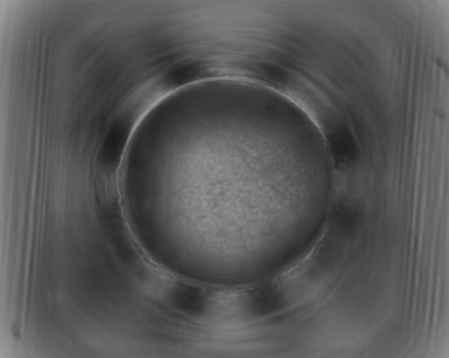 X0000091850891200709121308