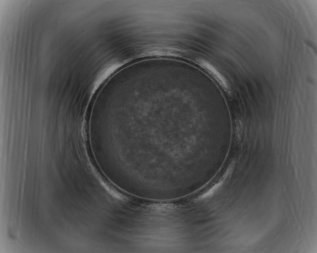X0000091850893200709121308