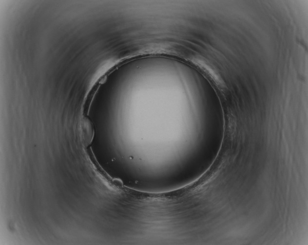 X0000091850894200709121308