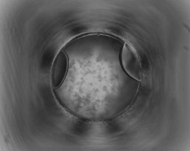 X0000091850895200709121308