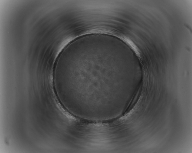 X0000091850896200709121308