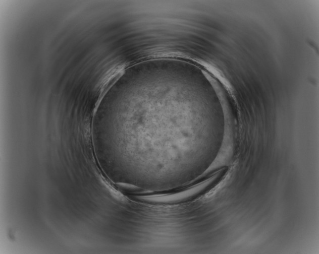 X0000091850897200709121308