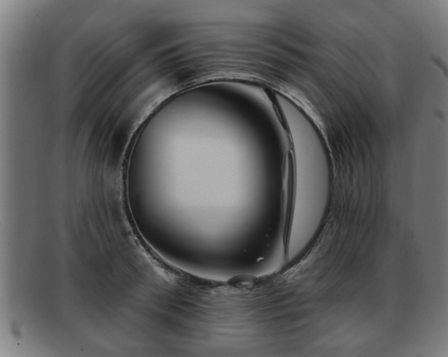 X0000091850898200709121308