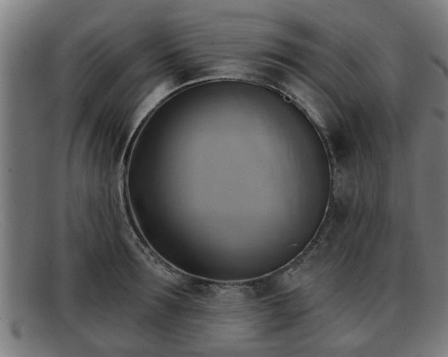 X0000091850899200709121308