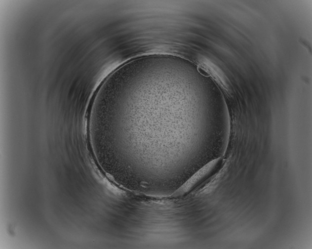 X0000091850900200709121308