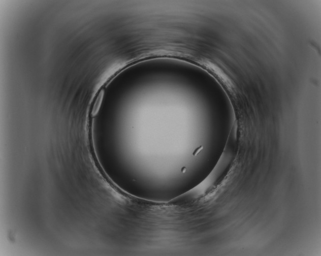 X0000091850902200709121308