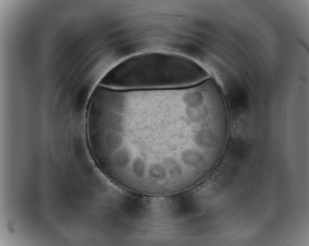 X0000091850903200709121308