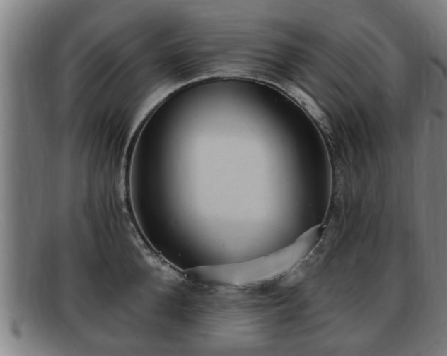 X0000091850904200709121308
