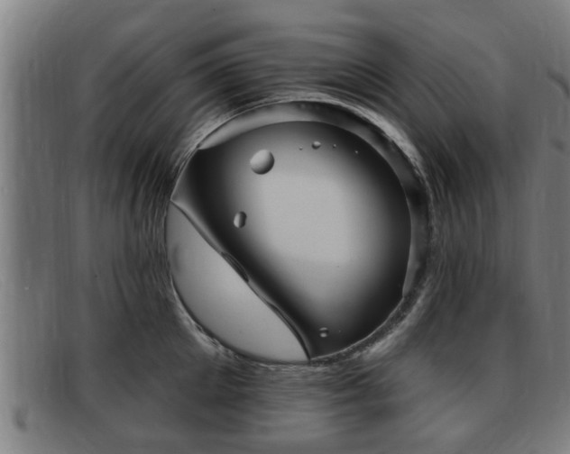 X0000091850905200709121308