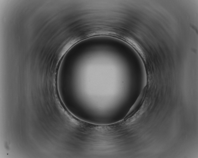 X0000091850906200709121308