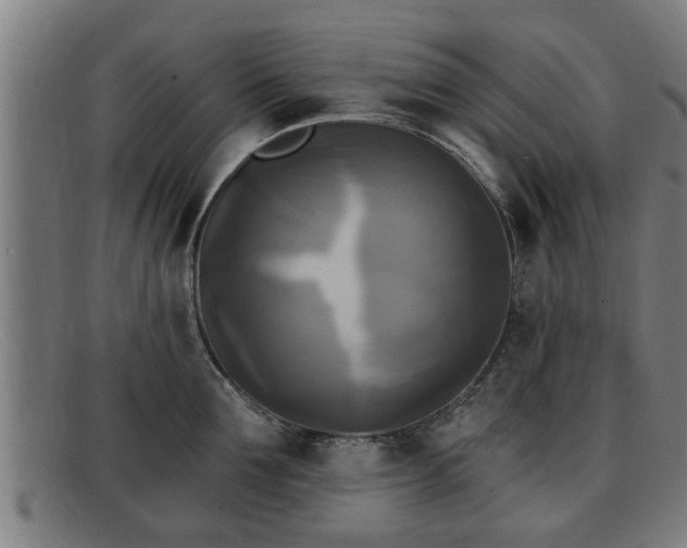 X0000091850907200709121308