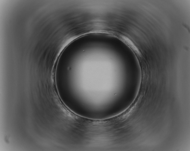 X0000091850908200709121308