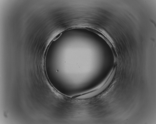X0000091850909200709121308