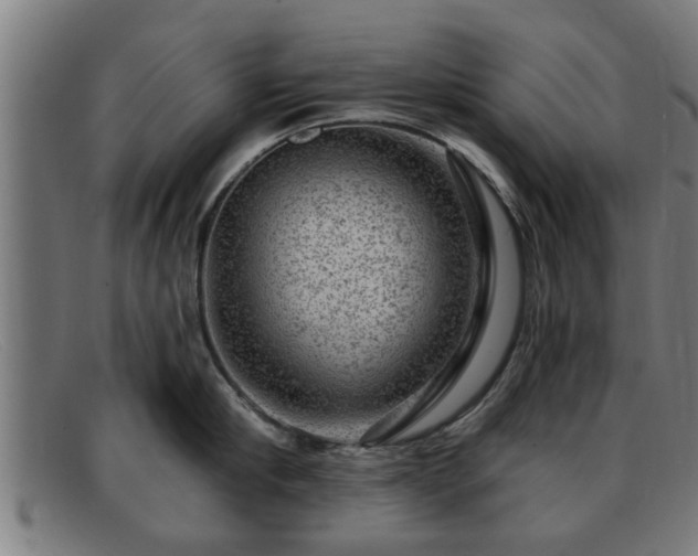 X0000091850910200709121308