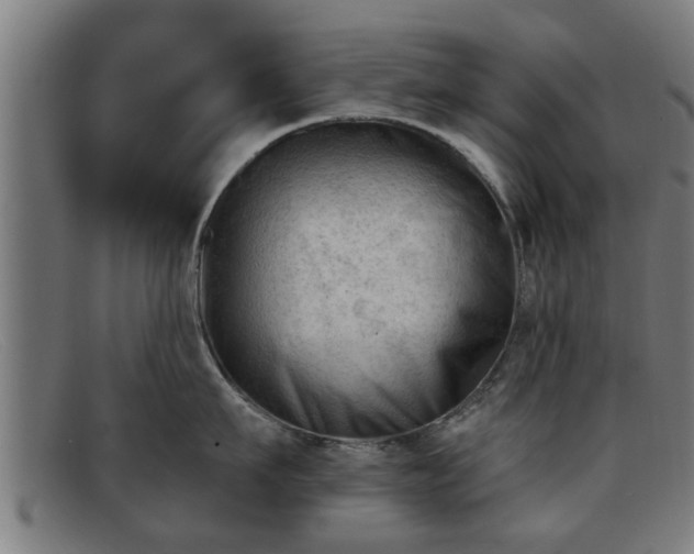 X0000091850911200709121308