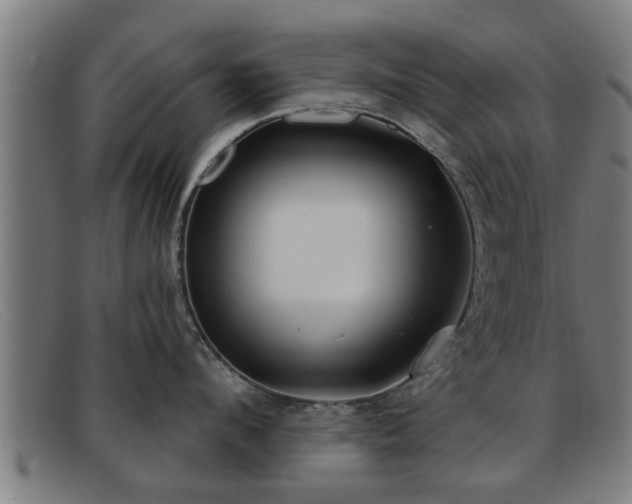 X0000091850912200709121308