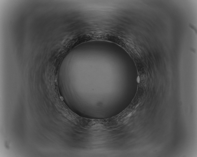 X0000091850913200709121307