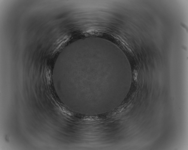 X0000091850915200709121307