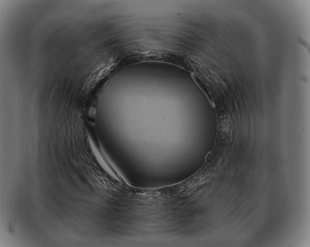 X0000091850916200709121307