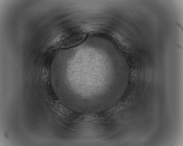 X0000091850917200709121307