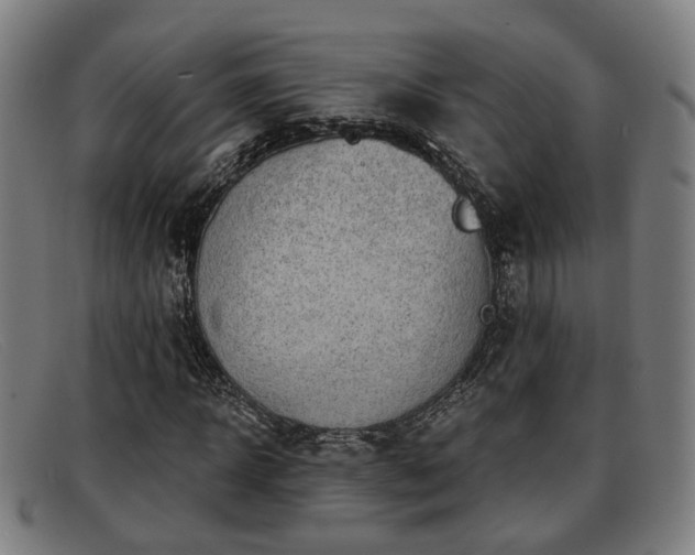 X0000091850918200709121307