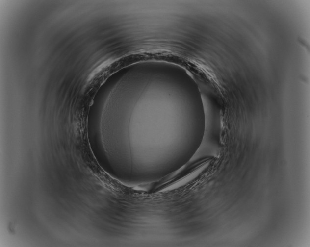 X0000091850920200709121307