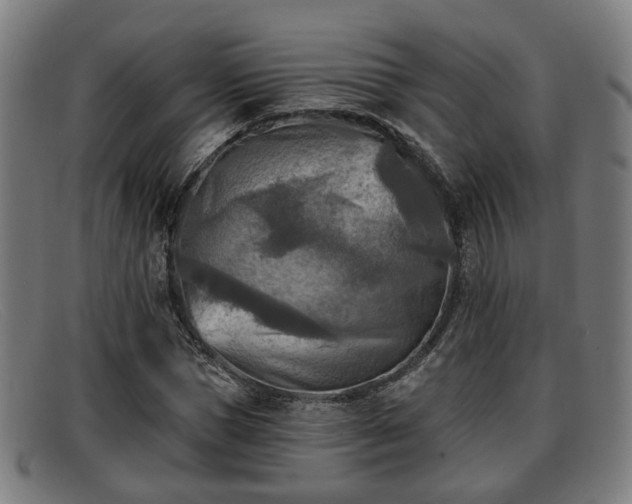 X0000091850921200709121307