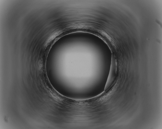X0000091850922200709121307