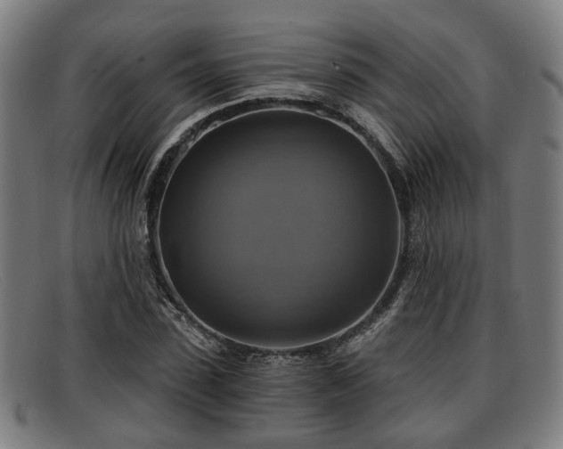X0000091850923200709121307