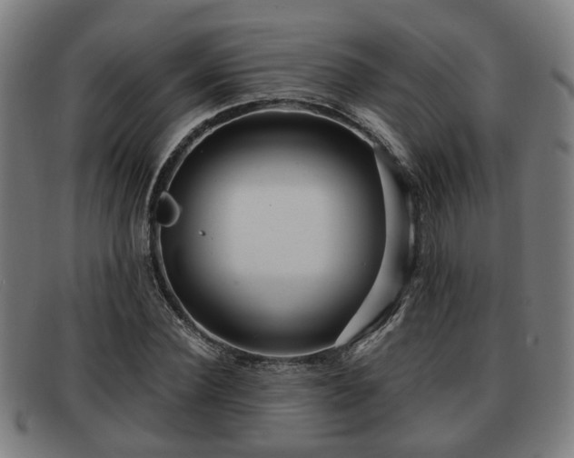 X0000091850924200709121307