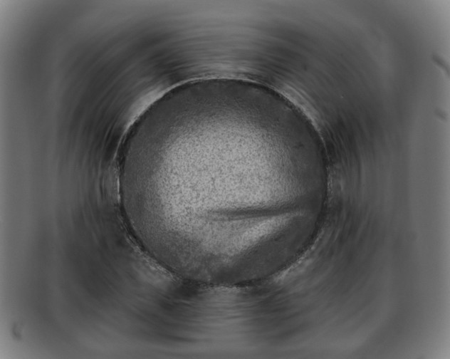 X0000091850925200709121307