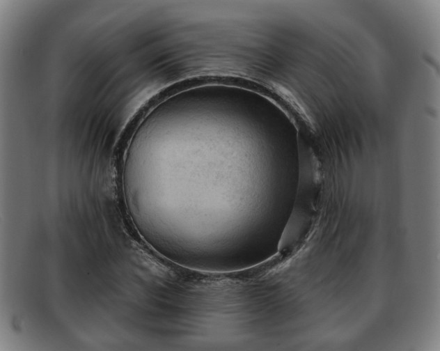 X0000091850926200709121307