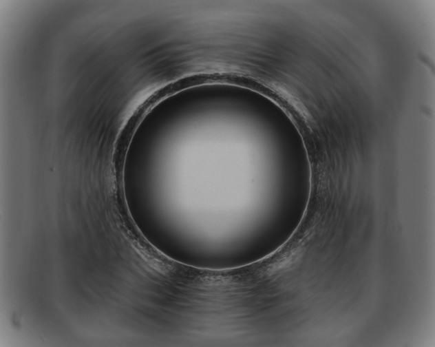 X0000091850927200709121307