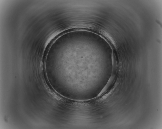 X0000091850928200709121307