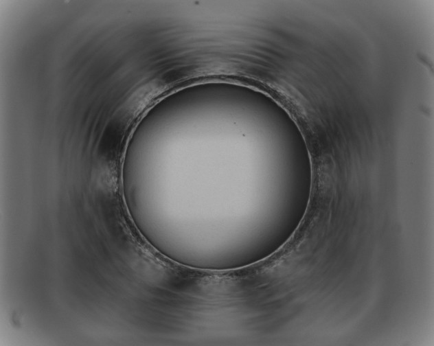 X0000091850929200709121307