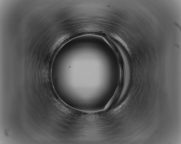 X0000091850930200709121307