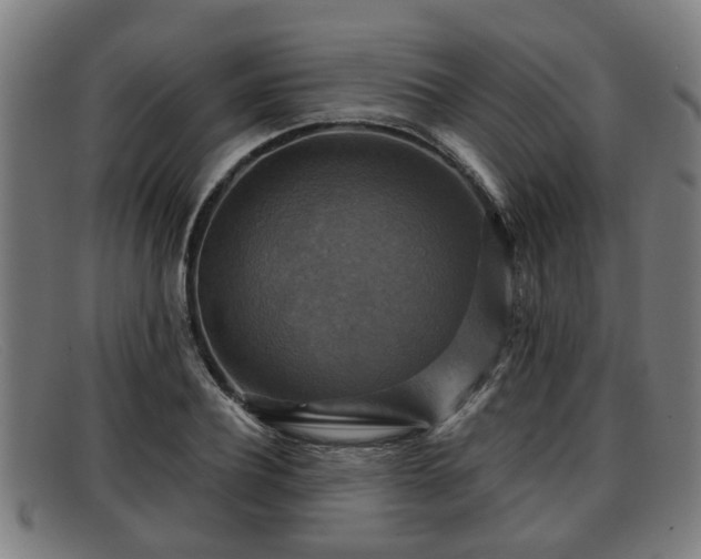 X0000091850932200709121307