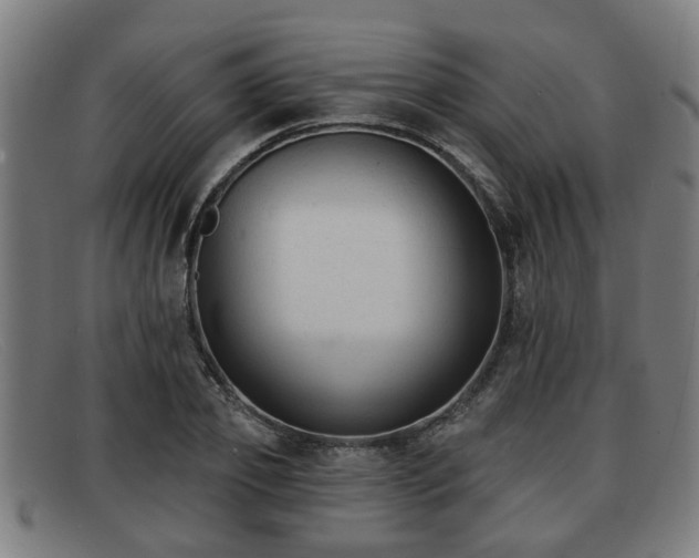 X0000091850933200709121307