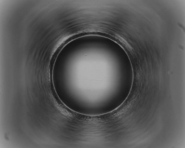 X0000091850934200709121307